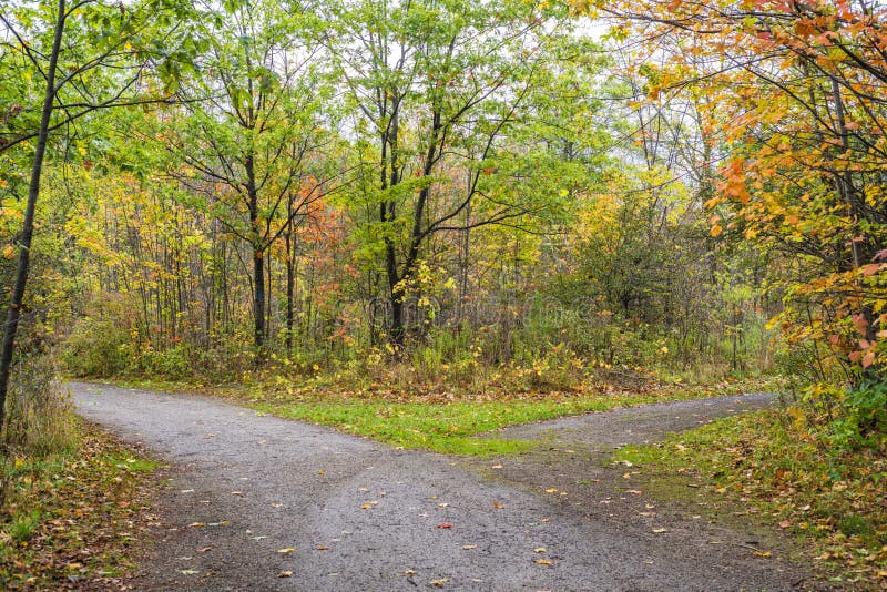 Winding Path Through Vibrant Fall Forest Of Colors Stock Photo Image