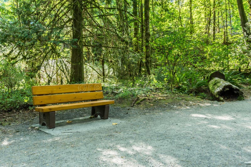 Path with a Bench in Green Forest Park. Stock Image Image of