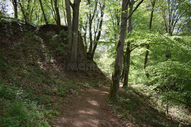 Path at a cliff in the Wolfsschlucht stock photography