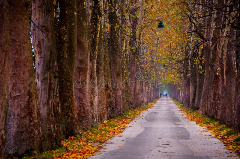 Path to Vrelo Bosne