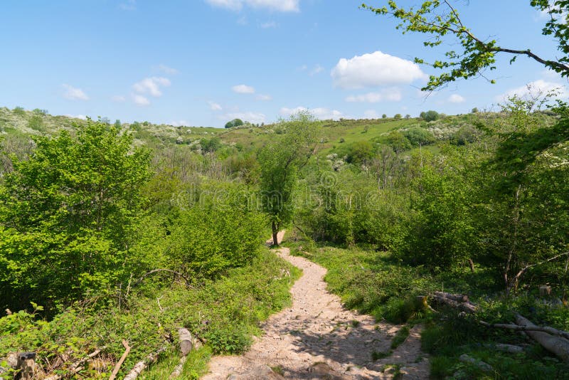 Path Down from Walk To Top of Cheddar Somerset England UK Stock