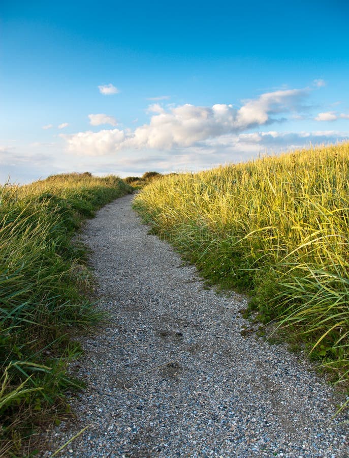 Path in Dunes