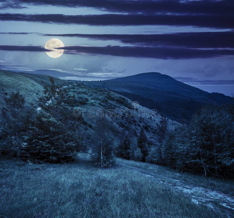 Path Through The Forest In Mountains At Night