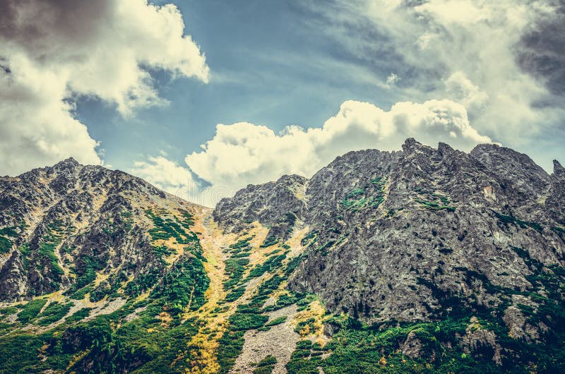 A path in a forest in the Tatra Mountains in Slovakia. Europe.