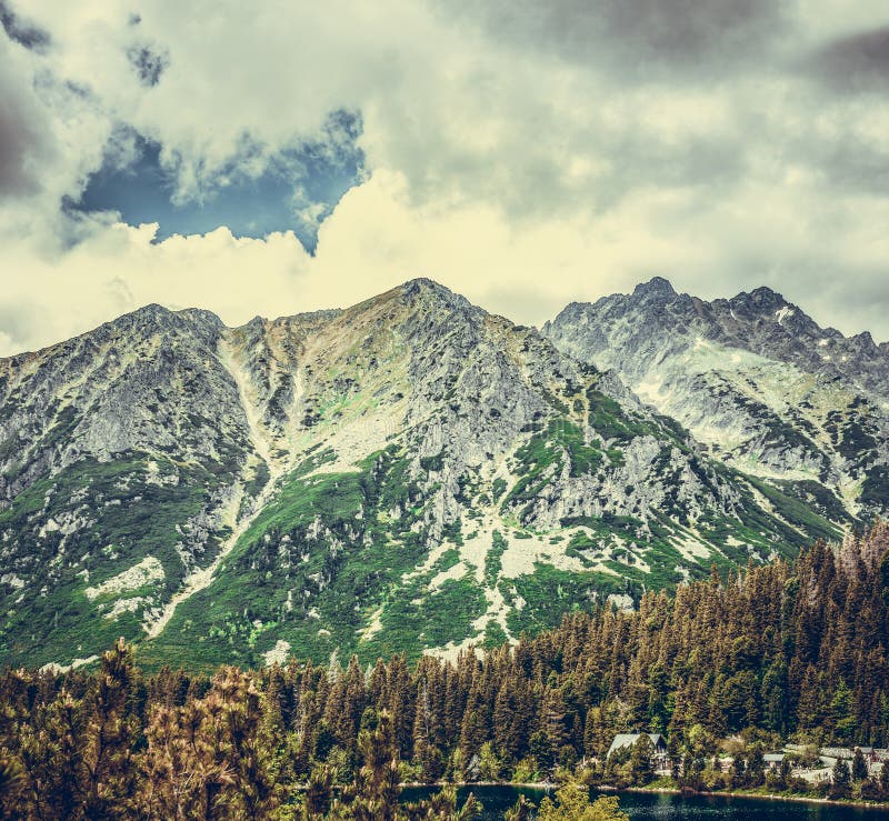 A path in a forest in the Tatra Mountains in Slovakia. Europe.