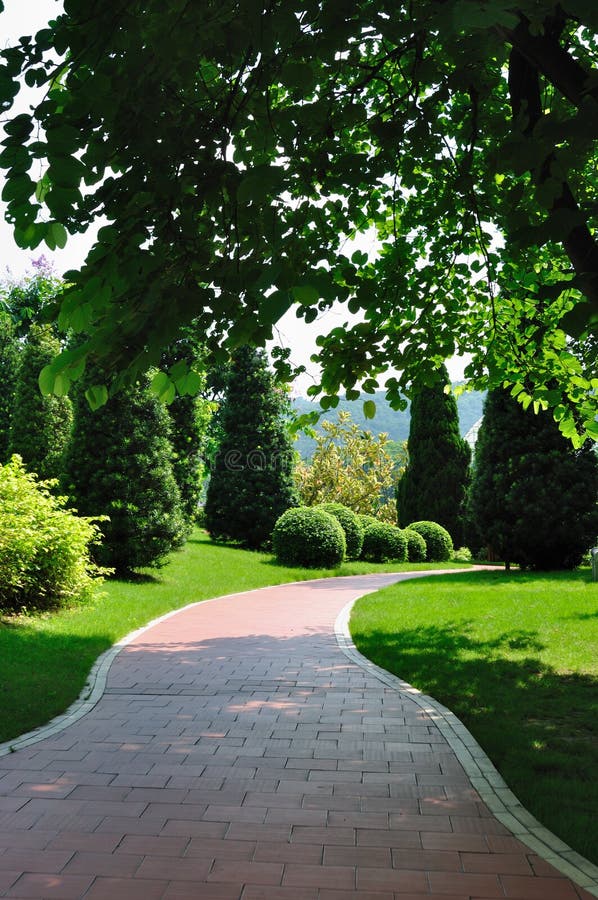 Path in garden 4913