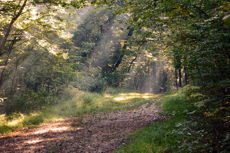 The Path Home