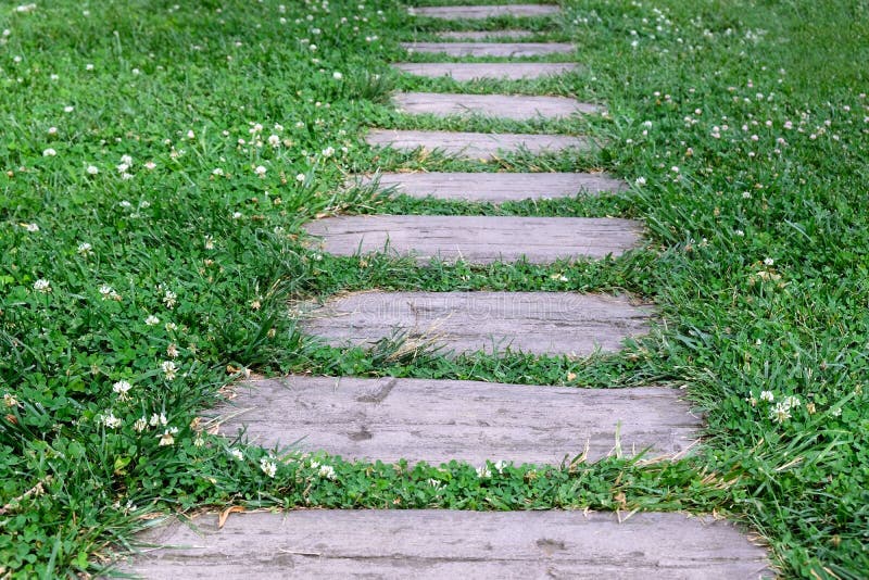 Path lined among grass.