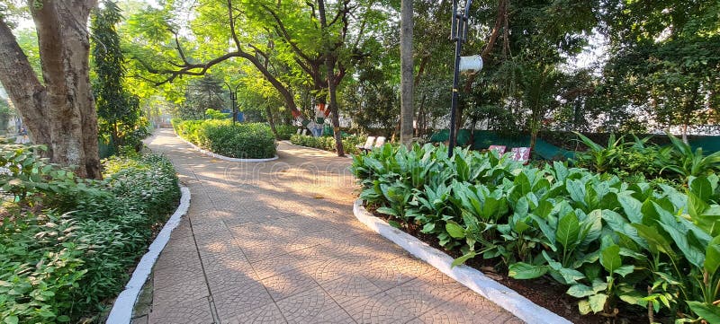 Track for Morning Walk with High Shadow Trees Stock Photo - Image of garden, trees: 203693952