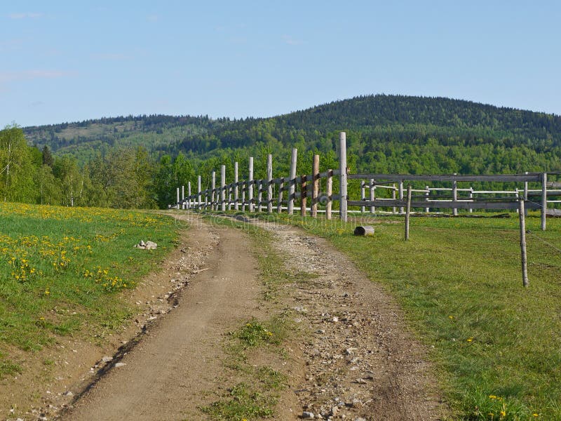 Path through the meadow