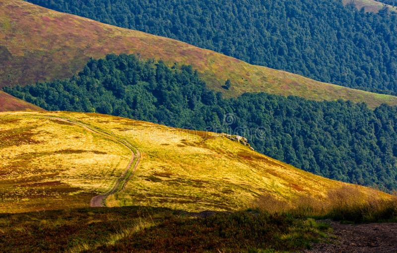 A Scenic Hills Summer by Shannon Yarbrough A Scenic Hills Summer by Shannon Yarbrough