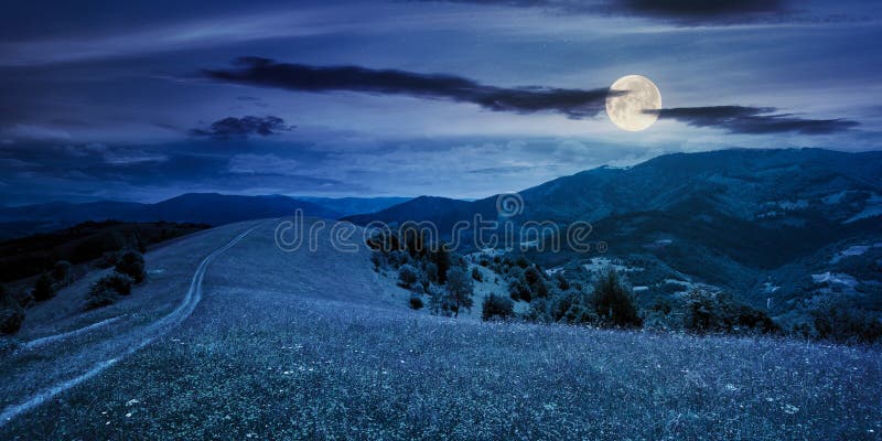 path through the mountain meadow at night