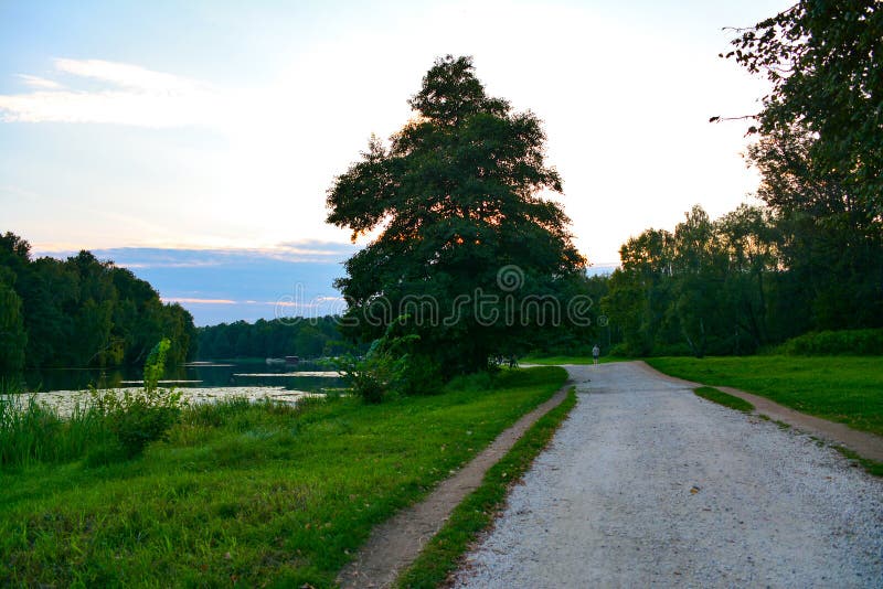 Path near lake royalty free stock photography Path near lake royalty free stock photography