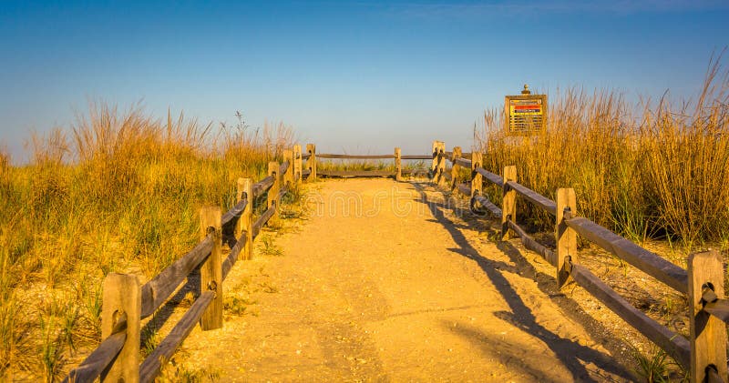 Path over sand dunes to the beach in Atlantic City, New Jersey.