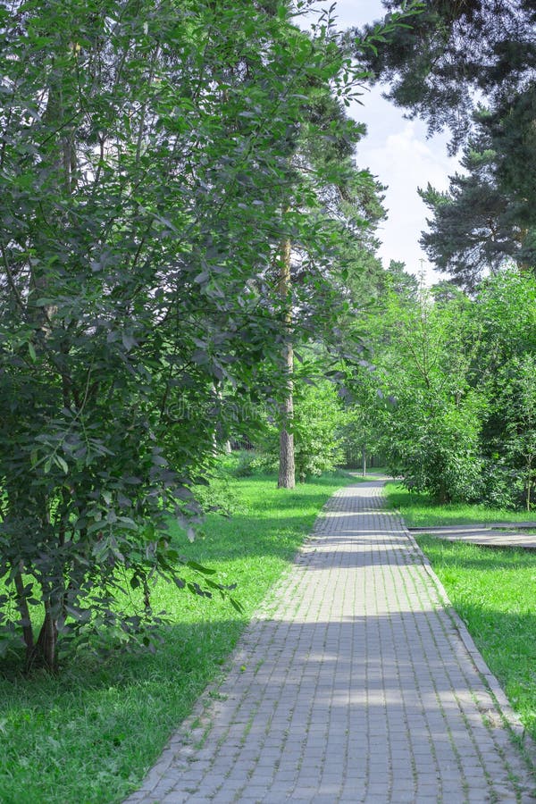 Path in the Park Paved with Stone Bars, Green Summer Park with