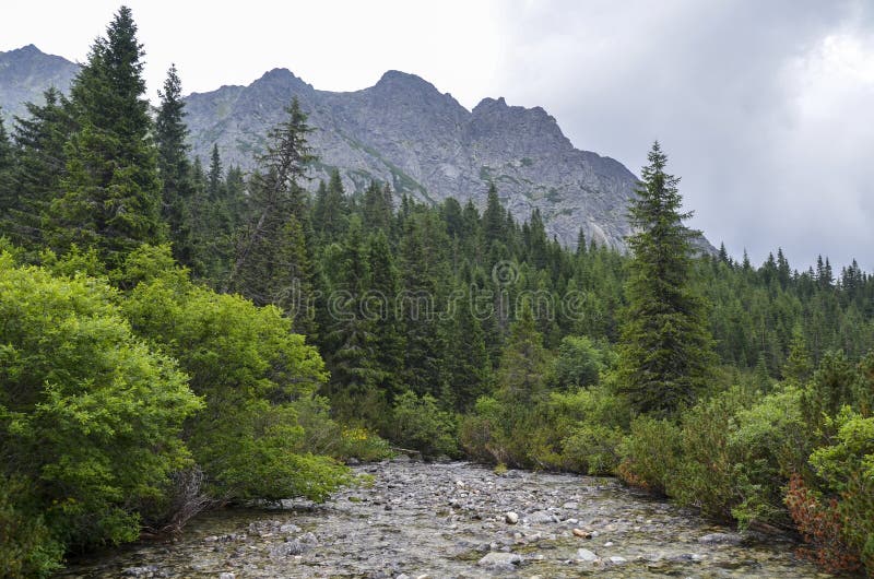 Cesta medzi Popradským Plesom a Štrbským Plesom, Slovensko. Vysoké Tatry v zamračenej hmle da