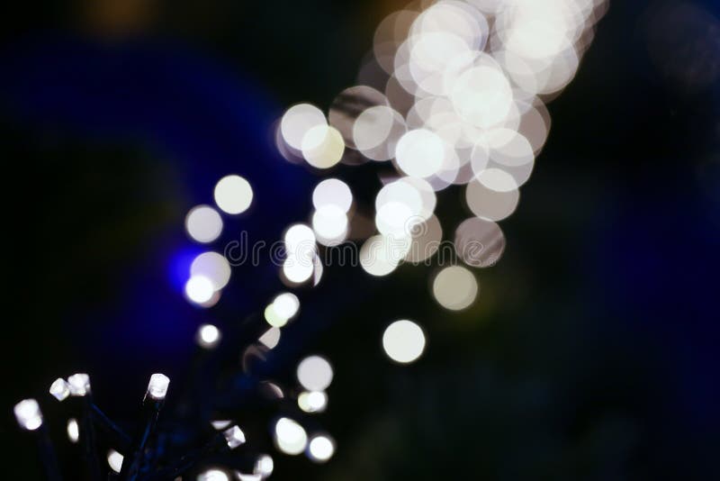 The Path of the River of Christmas Lights Stock Photo Image of