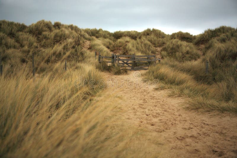 Path throught the sand dunes