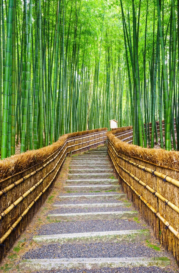 Path to bamboo forest, Arashiyama, Kyoto, Japan royalty free stock photography Path to bamboo forest, Arashiyama, Kyoto, Japan royalty free stock photography