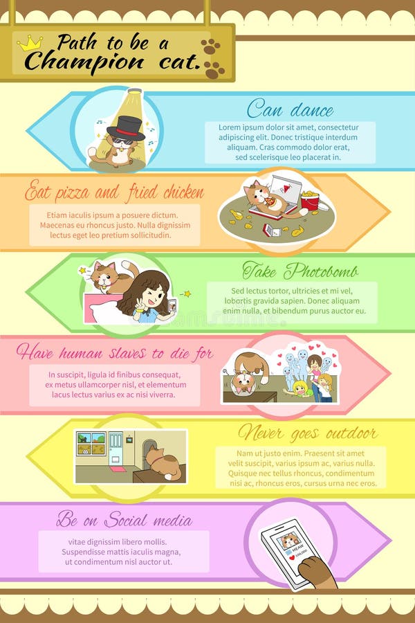 Path to be a champion cat infographic template design with sample text layout, create by vector vector illustration