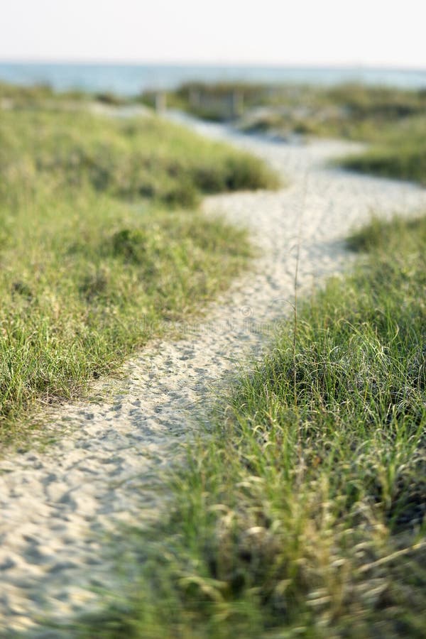 Path to beach stock photography Path to beach stock photography