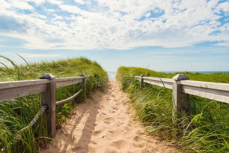 Path to the beach at Basin Head