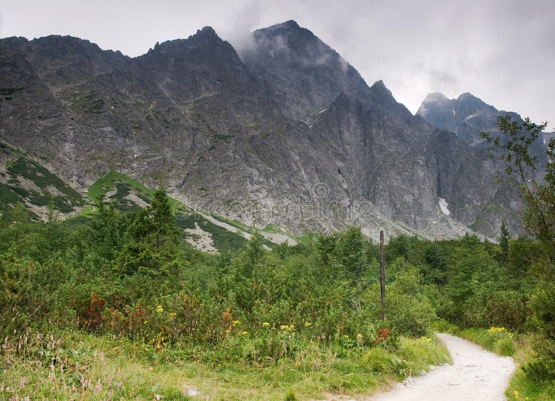 Path to mountains