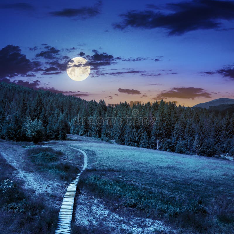 Path to mountains at night