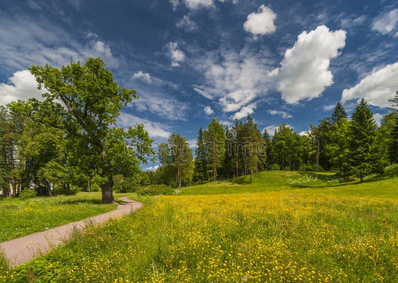 Path to spring park royalty free stock image Path to spring park royalty free stock image