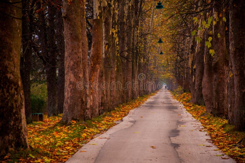 Path to Vrelo Bosne