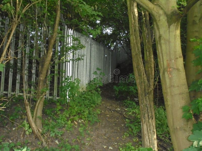 Path Trough Woodland Treeton Rotherham Stock Photo Image of treeton