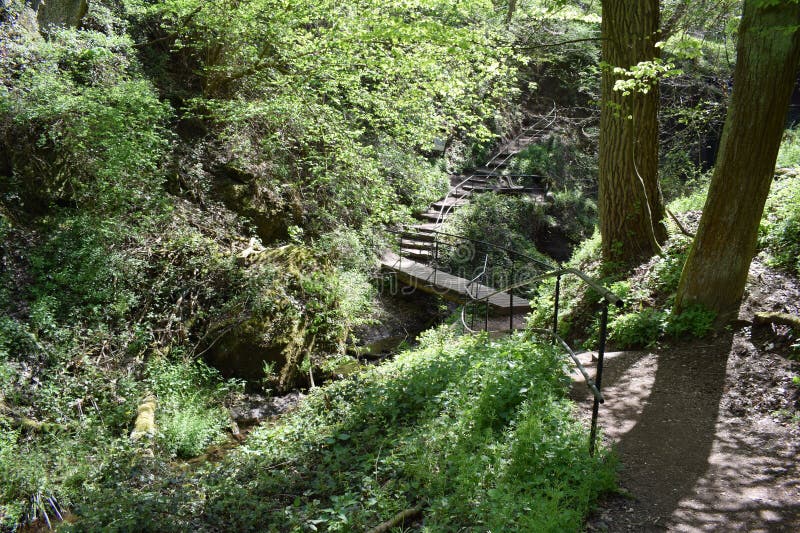 Path through the Wolfsschlucht in the Eifel royalty free stock images