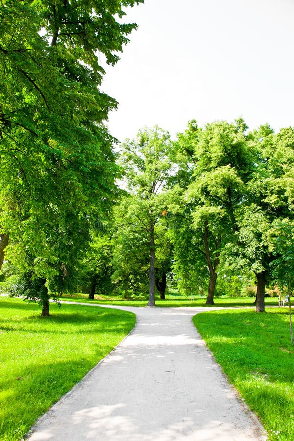 Paths in the park