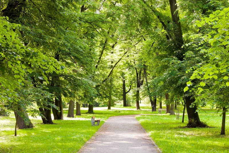 Paths in the park