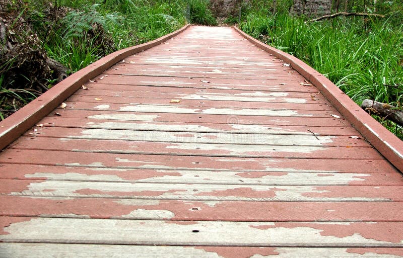Pathway stock photo. Image of challenge, lead, rural, leadership - 193452