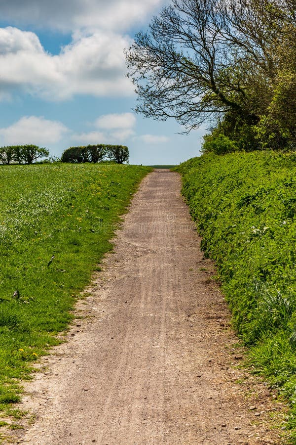 A Pathway through Fields stock photo. Image of fields - 117748652