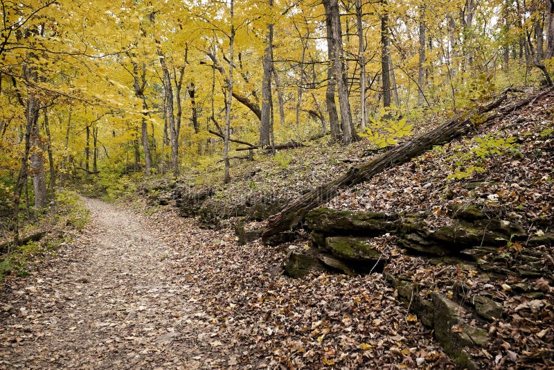 2,457 Missouri Trees Stock Photos Free & RoyaltyFree Stock Photos