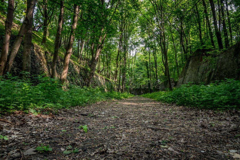 Pathway In A Garden Surrounded By The Walls Of A Ruined Building And