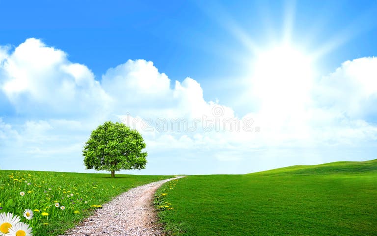 Pathway Terrain Stock Illustrations 495 Pathway Terrain Stock Pathway Terrain Stock Illustrations 495 Pathway Terrain Stock