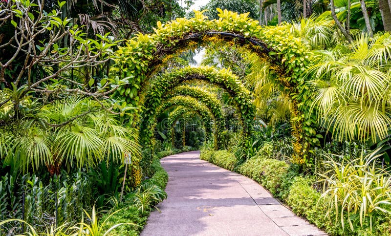 Archway of Plants at the Singapore Botanical Gardens Stock Image ...