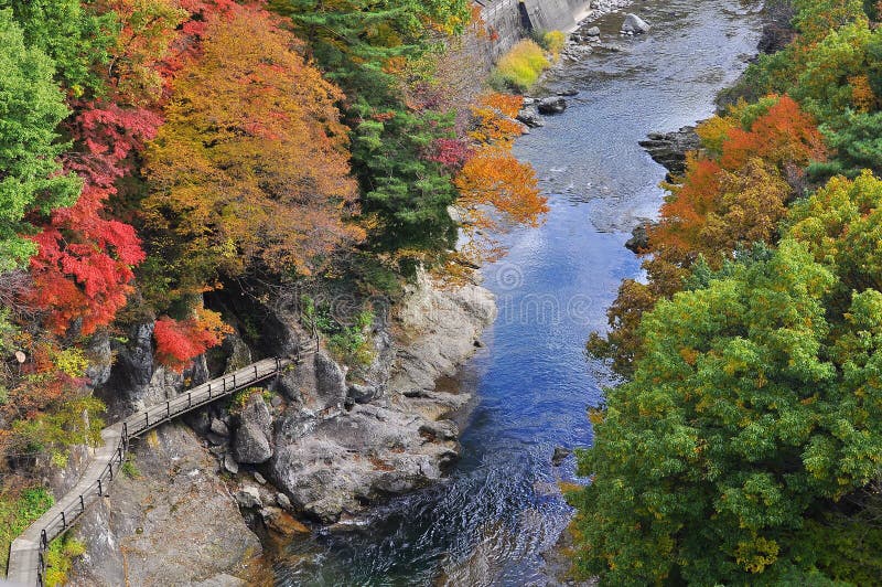 Pathway by the side of a river in autumn