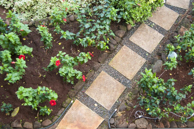 Pathway Stones in a Garden