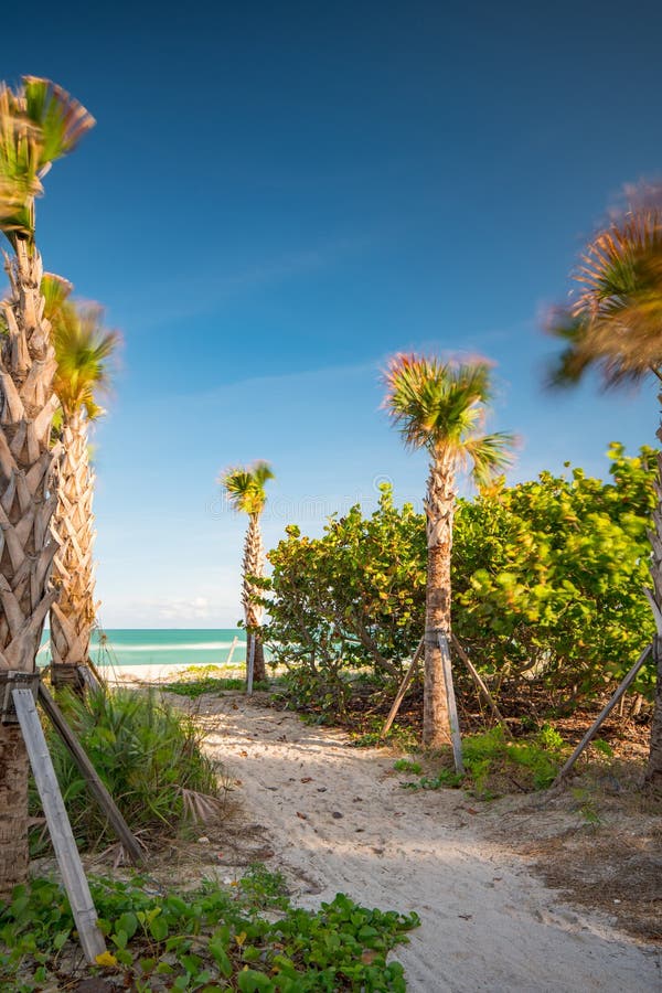 Pathway To the Beach Miami Long Exposure Image with Motion Blur in ...