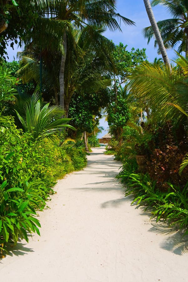 Pathway to bungalow