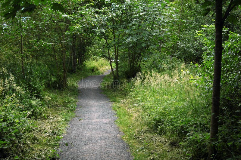 Pathway trail with green nature on sides