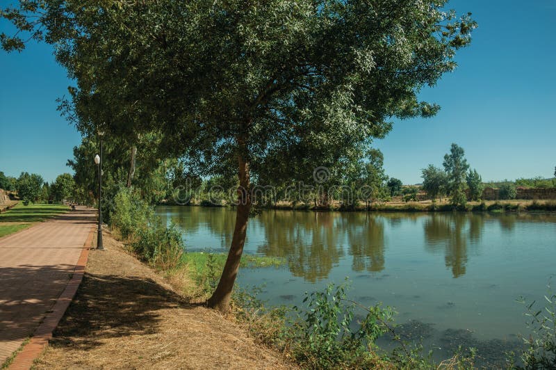 Pathway and tree next to the Guadiana River at Merida royalty free stock photo Pathway and tree next to the Guadiana River at Merida royalty free stock photo
