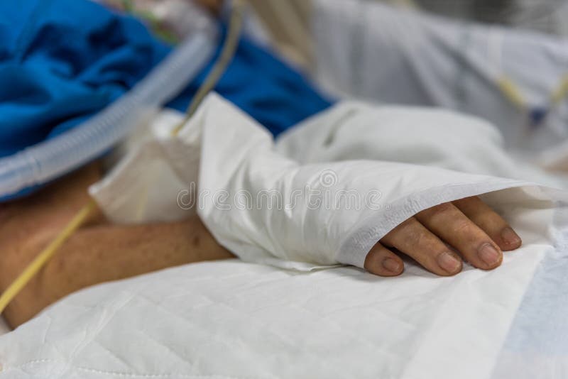 168 Incontinent Photos Free & RoyaltyFree Stock Photos from Dreamstime