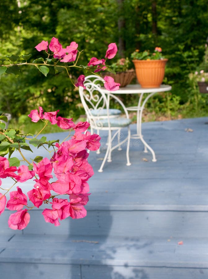 Patio flowers stock photo. Image of pots, potted, plants 14943746