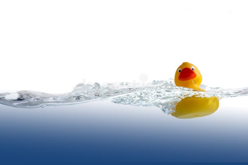 Pato de borracha na água imagem de stock Pato de borracha na água imagem de stock