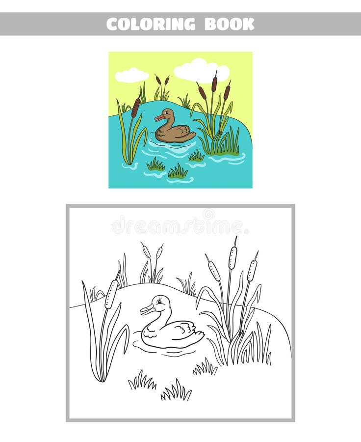 Pato de la charca del libro de colorear ilustración del vector Pato de la charca del libro de colorear ilustración del vector